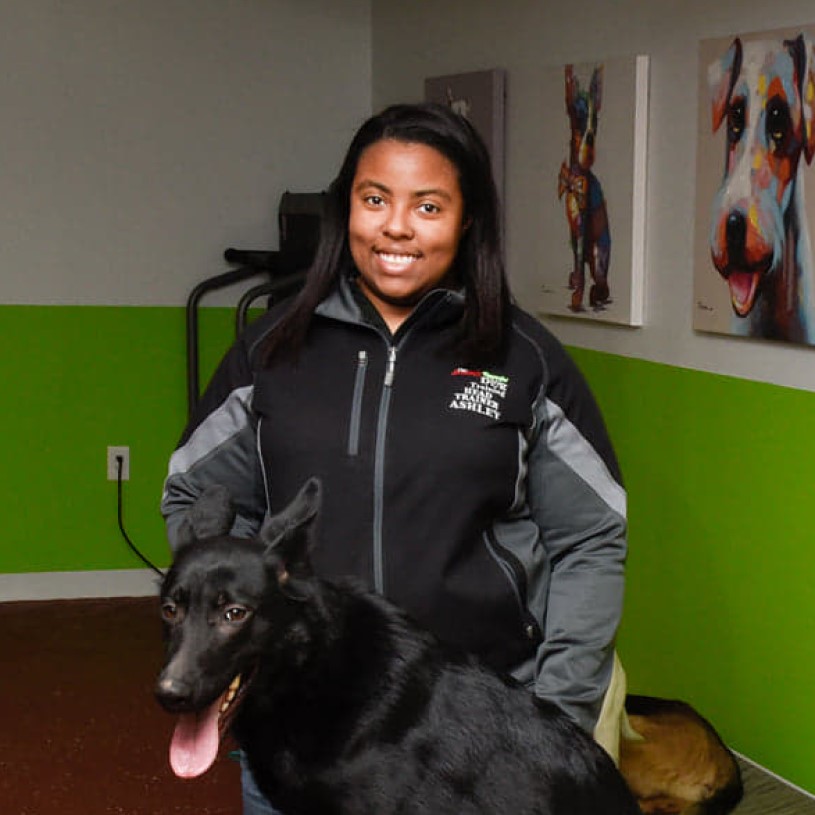 Ashley - Trainer Ashley, owner, trainer