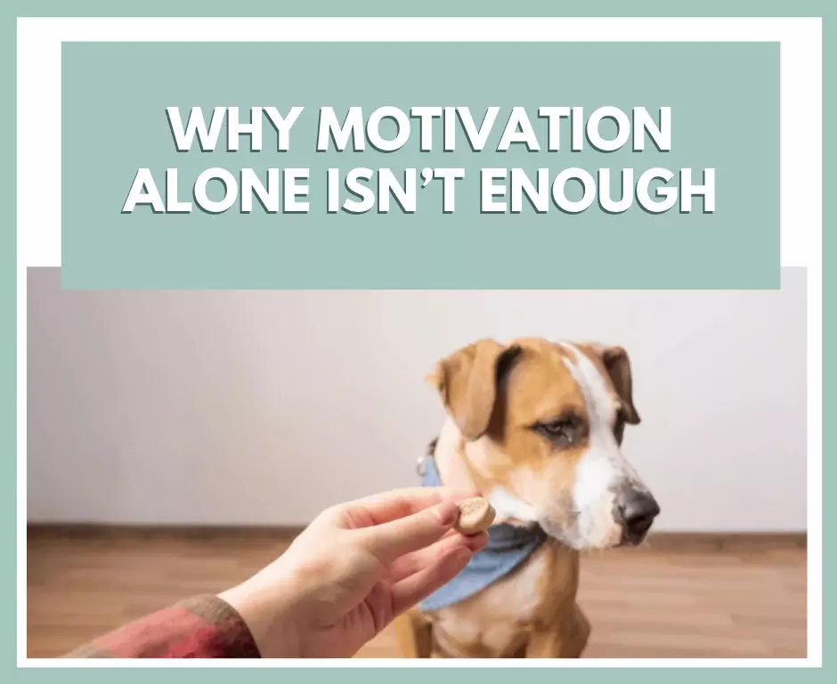 Why Motivation Alone Isn’t Enough