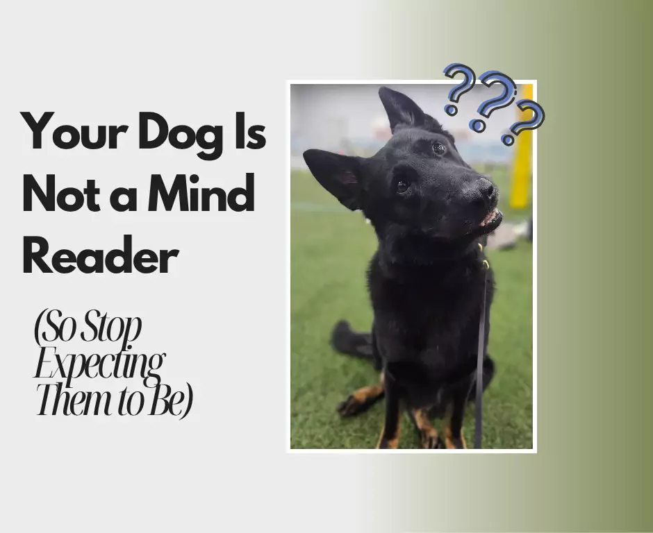 your dog is not a mind reader