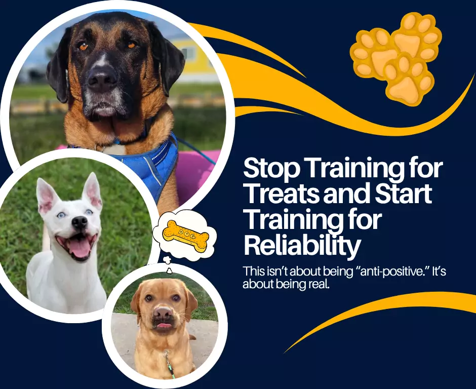 Stop Training for Treats and Start Training for Reliability