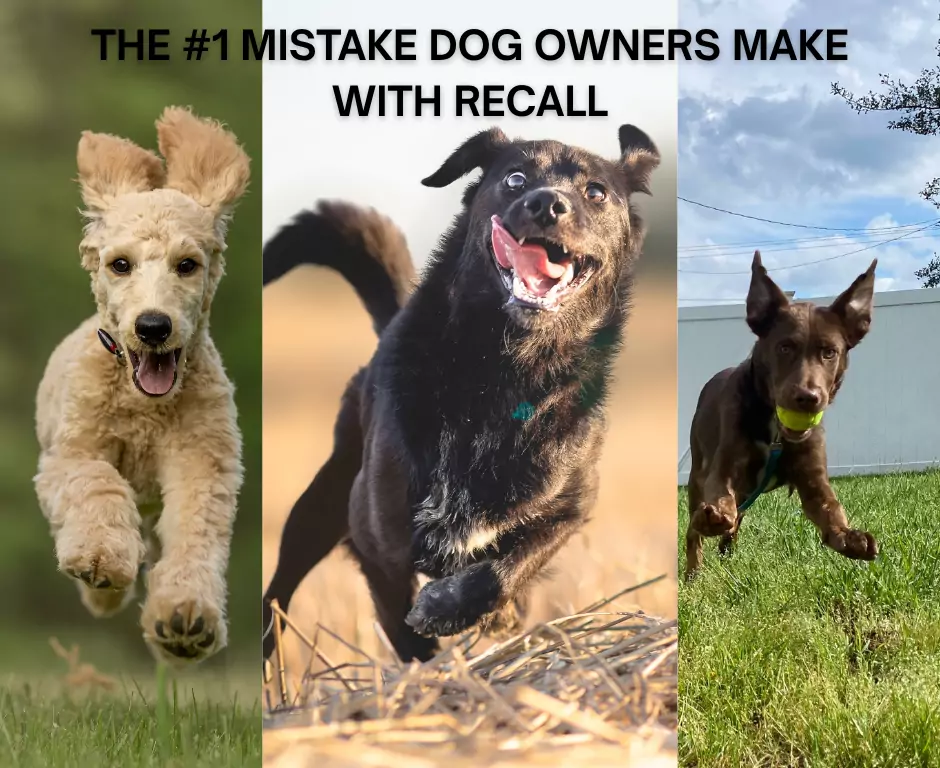 recall mistakes